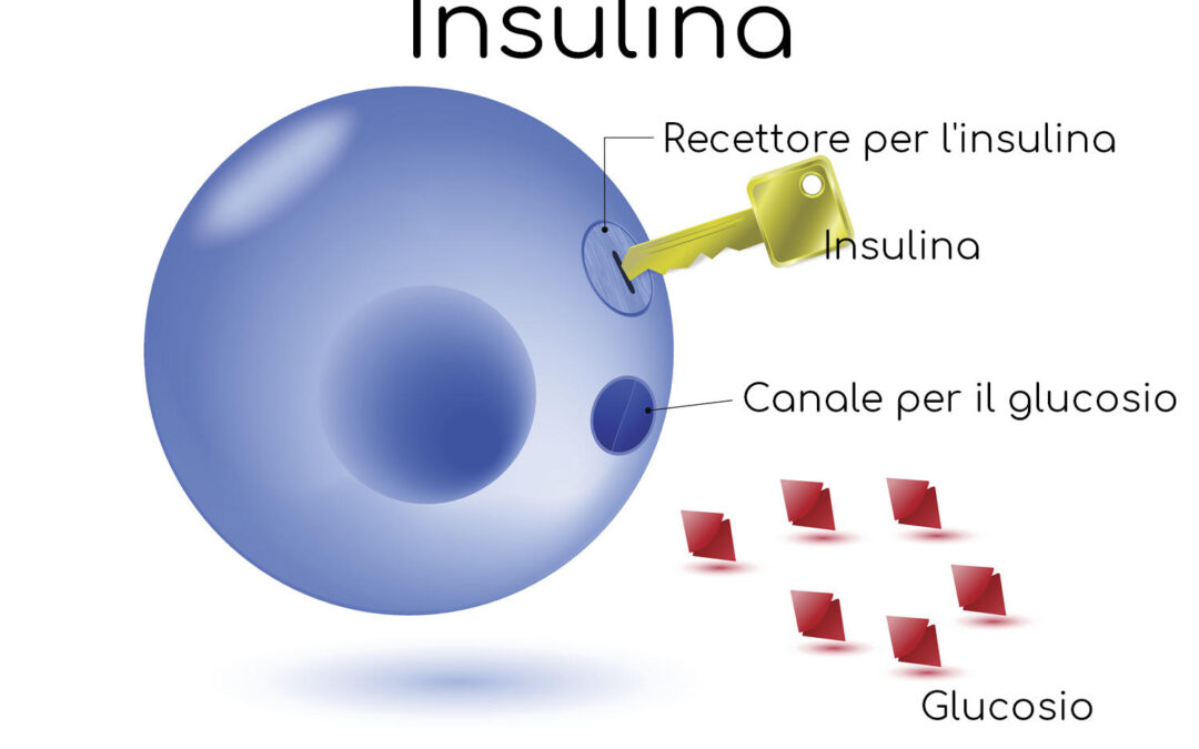 Insulino resistenza