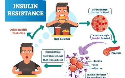 Dieta insulino-resistenza